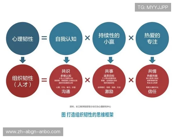 韧性增长密码:王英超团队应对市场波动的创新实践